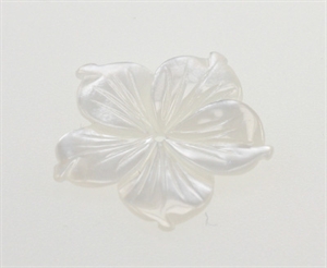 Perlemor blomst 20 mm Hvid